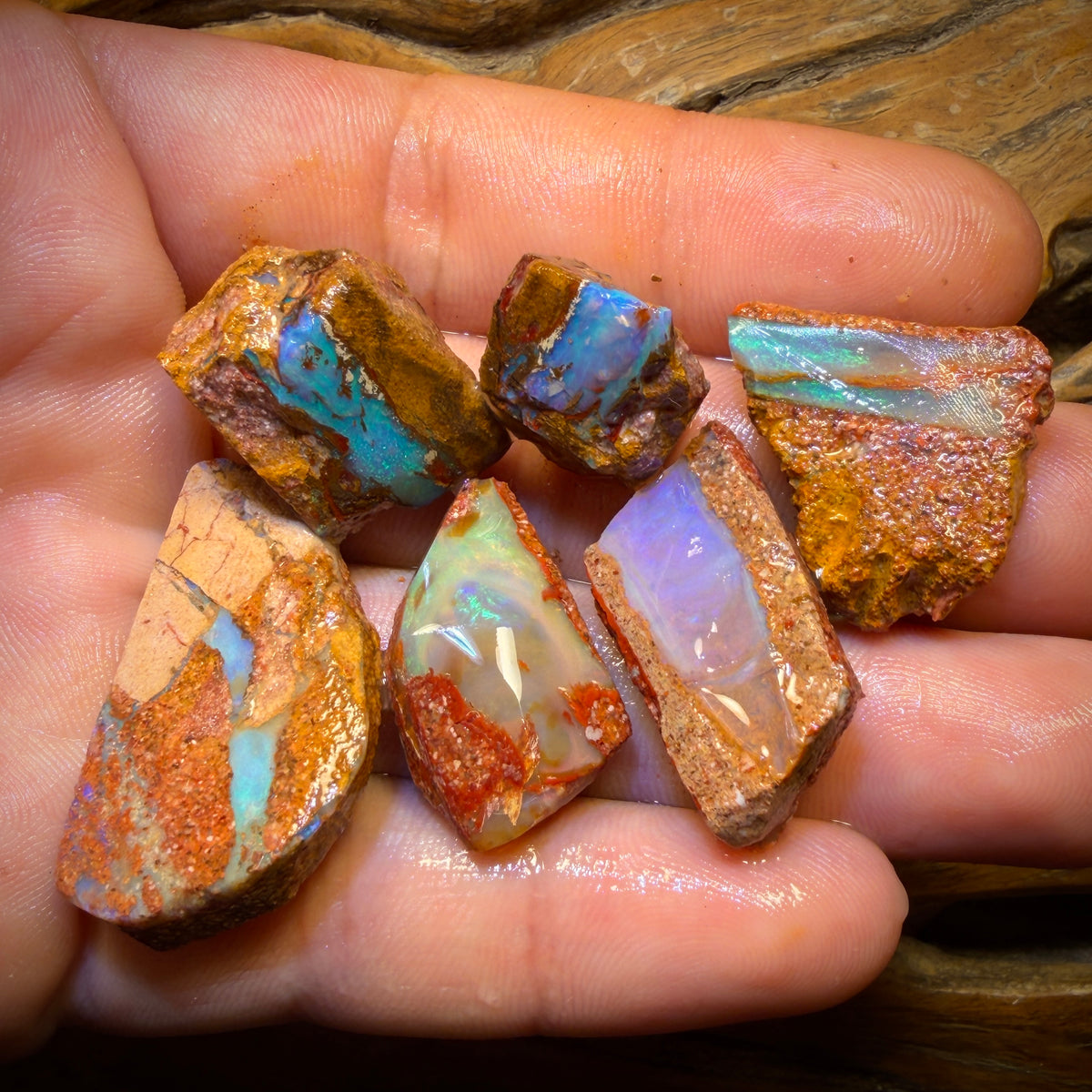 127.1cts - 6x Queensland Boulder Pipe Opal Rough Pieces