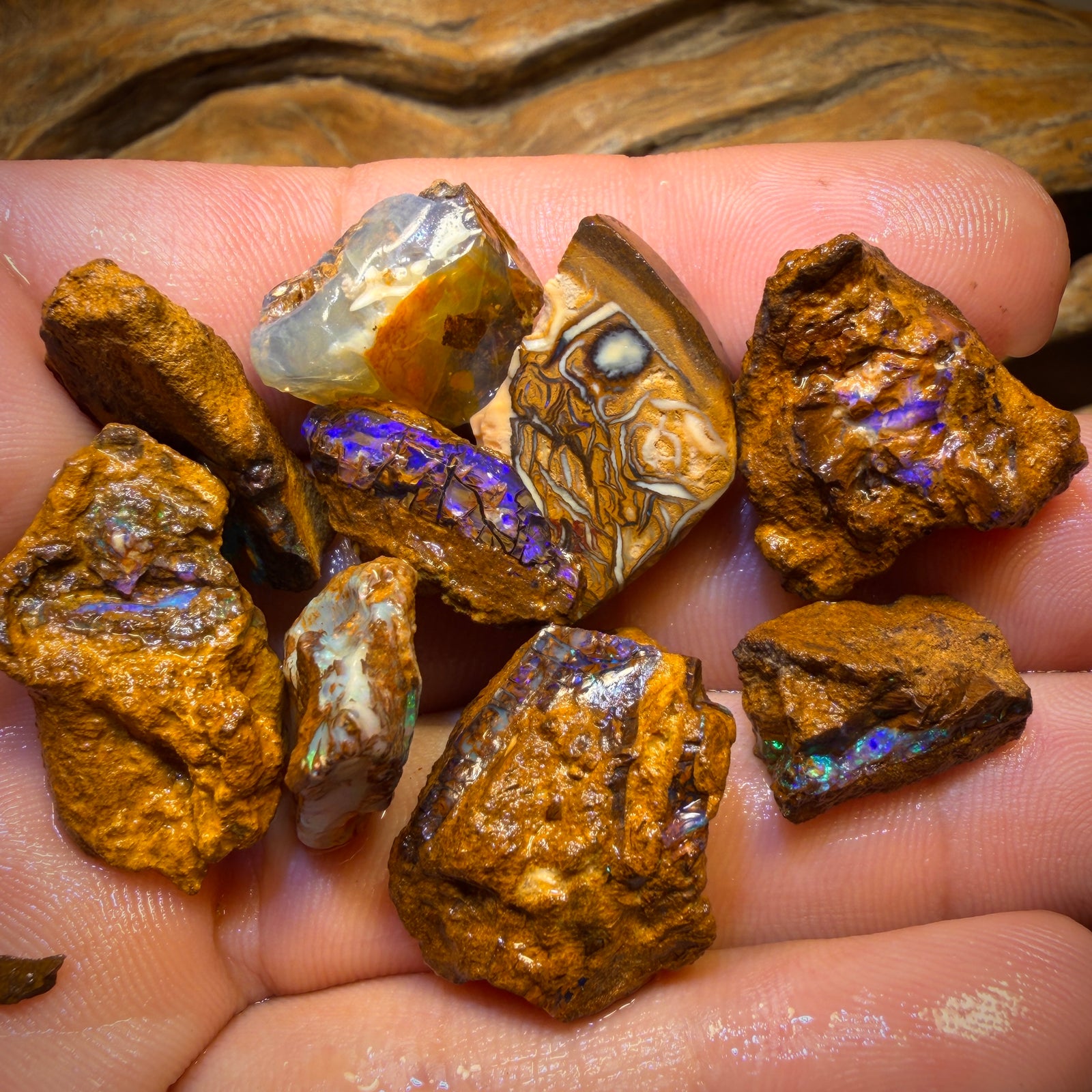 127.6cts - 9x Yowah Nut Rough Opal Parcel. Australian Boulder Opal