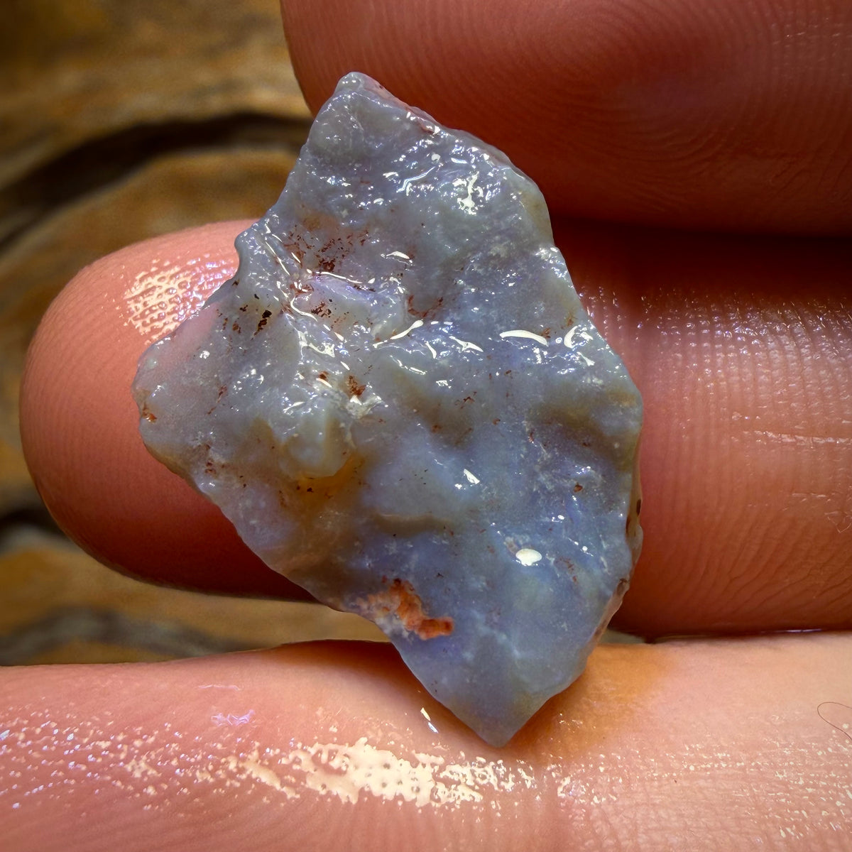 10.9cts - Lightning Ridge Dark Opal Rough Piece