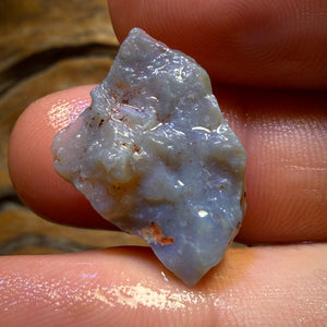 10.9cts - Lightning Ridge Dark Opal Rough Piece