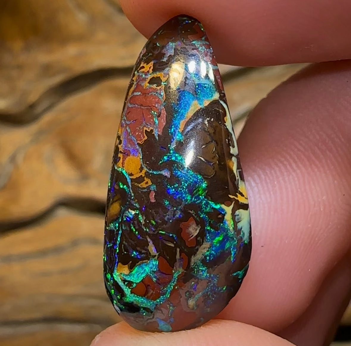 19.4cts - Electric Top Tribal Australian Boulder Opal from Koroit - Opal Whisperers
