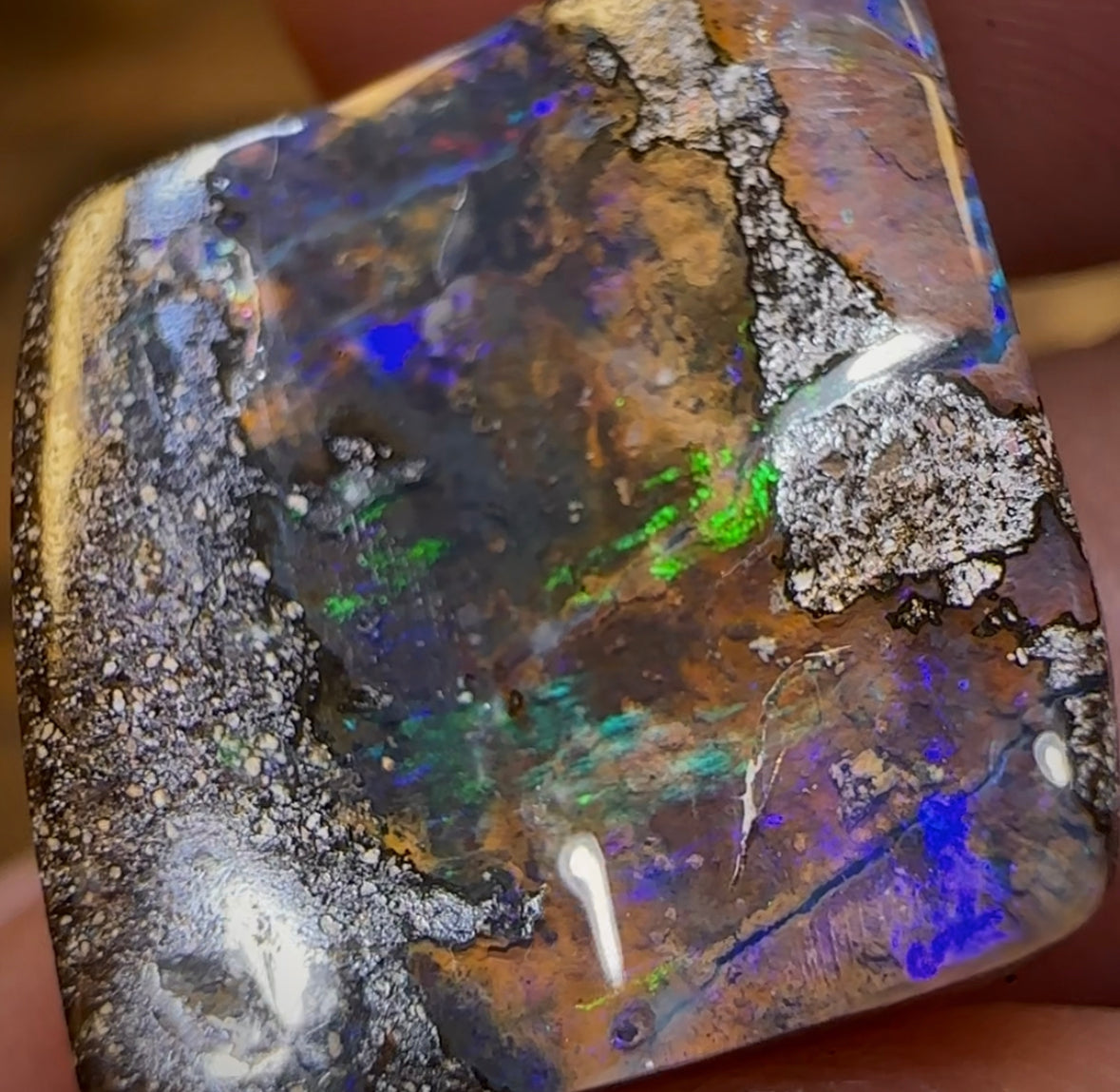 21.1cts - Queensland Boulder Seam Opal - Opal Whisperers