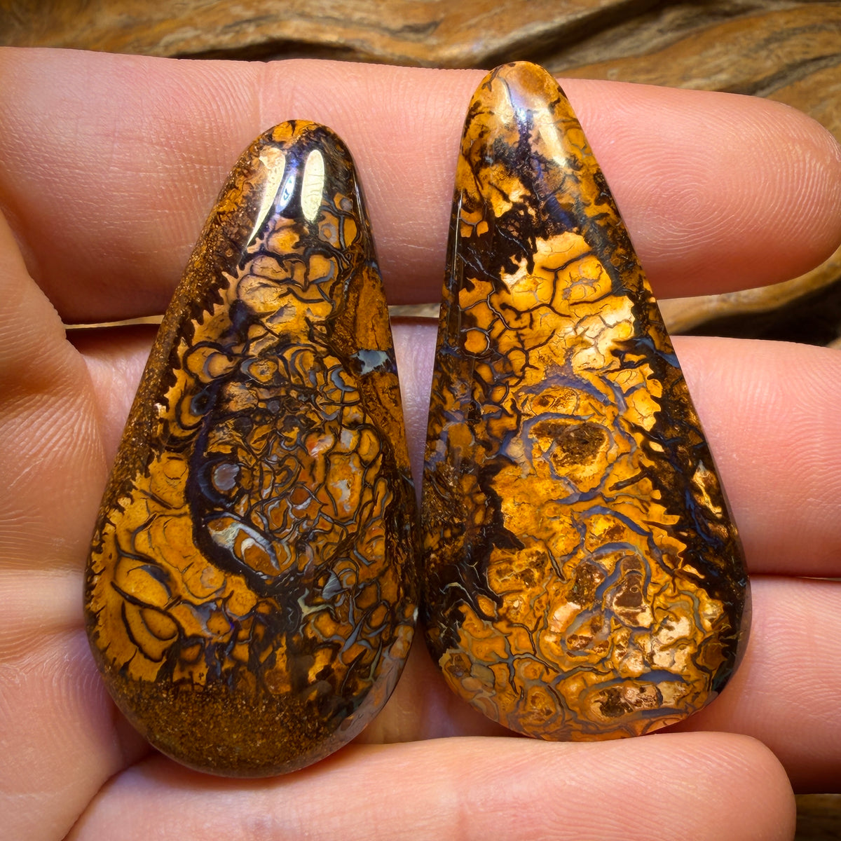 128.4cts - Tribal Queensland Boulder Opal Pair