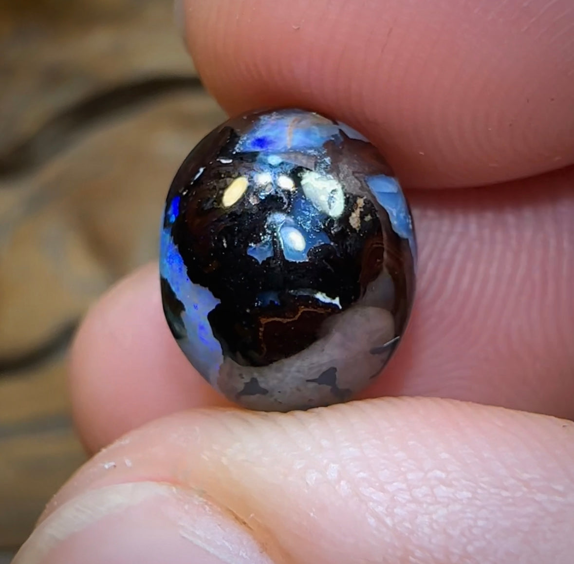 8.3cts - Yowah Nut Crystal Center Kernel Opal. Isaac “Magic Bean” Cut - Opal Whisperers