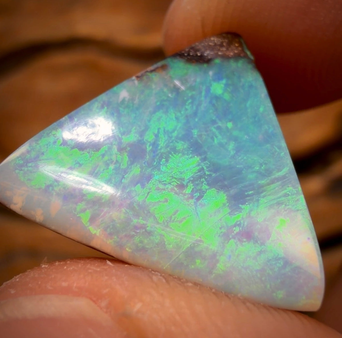 48 hour Vip Crazy Offer 12.05cts - Gem Queensland Boulder Seam Opal