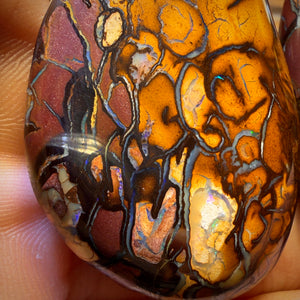 208.1cts - “Partners”Tribal Queensland Boulder Opal Pair