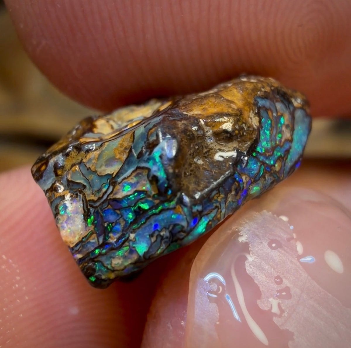 Opale brute Yowah Nut de 9,1 ct - Magnifique ! Tailleur de pierres pour bagues !