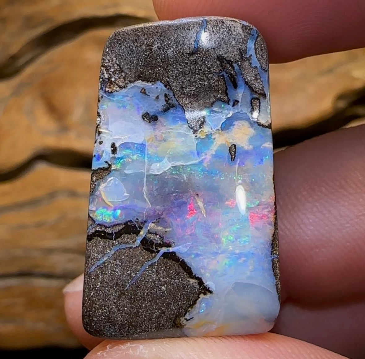 71cts - Queensland Boulder Seam Opal Red Multicolour - Opal Whisperers