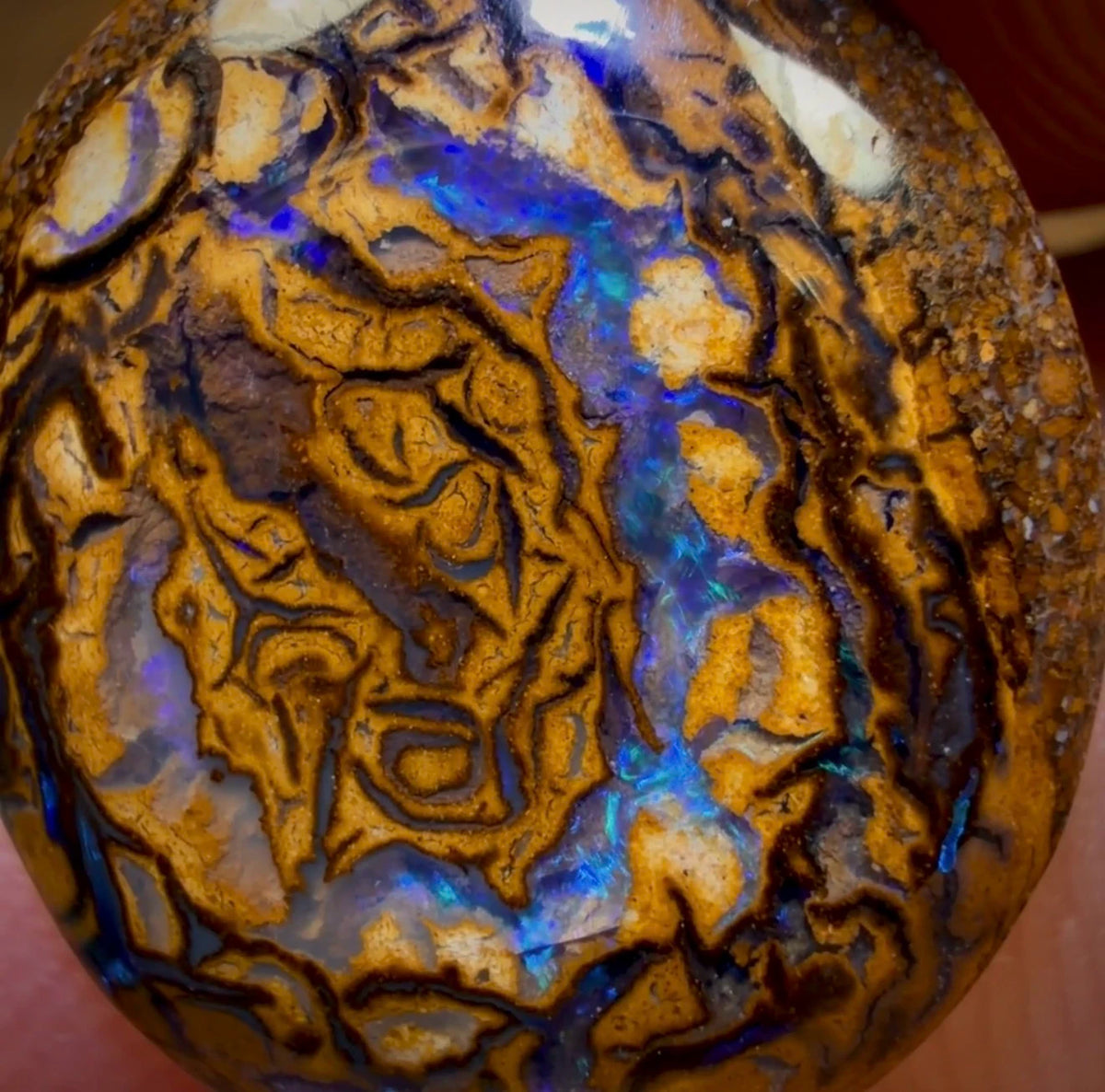 7.1cts - Tribal Yowah Nut Opal. Australian Opal