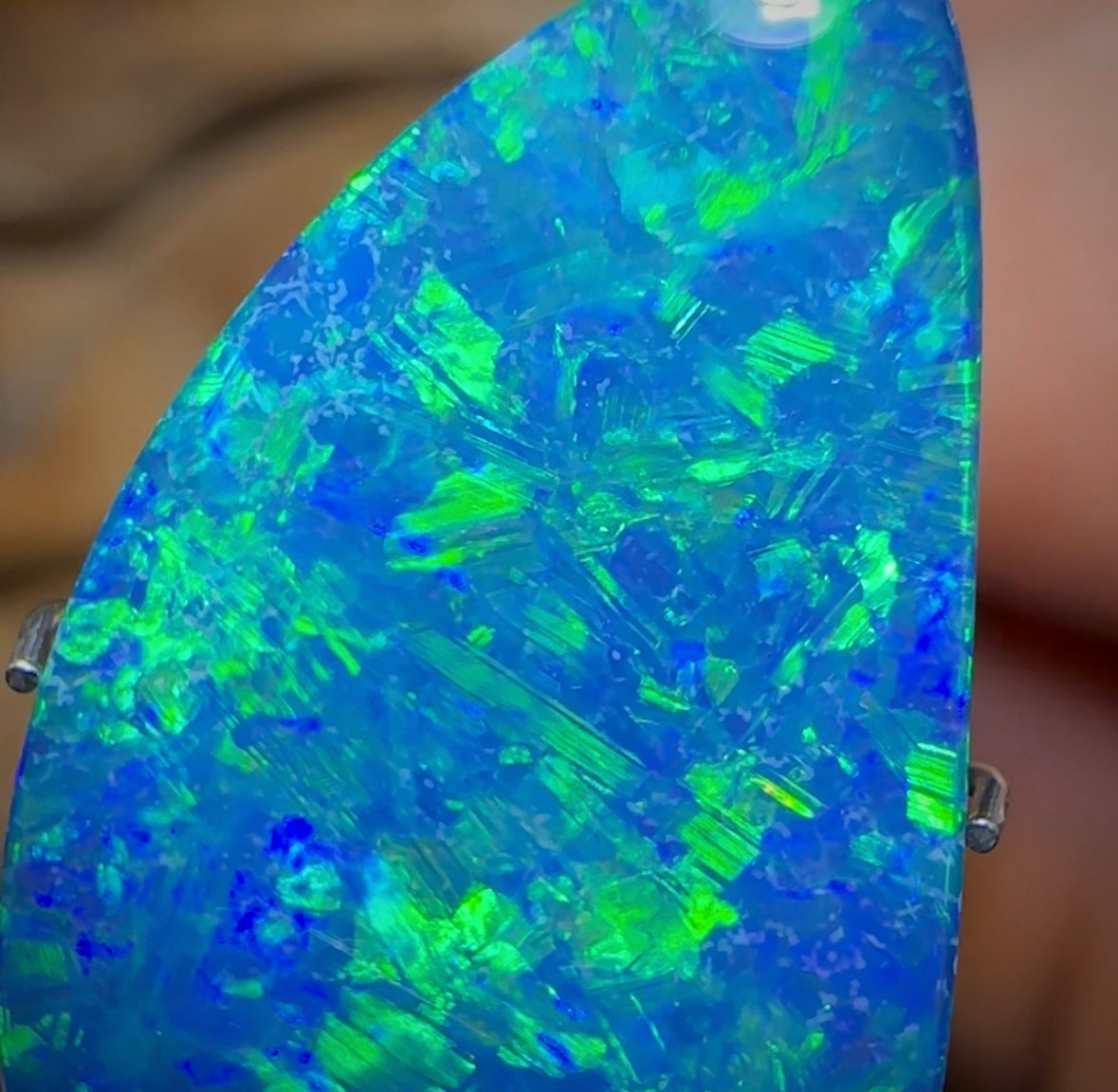 8.1cts - TOP Australian Boulder Opal Doublet - Opal Whisperers