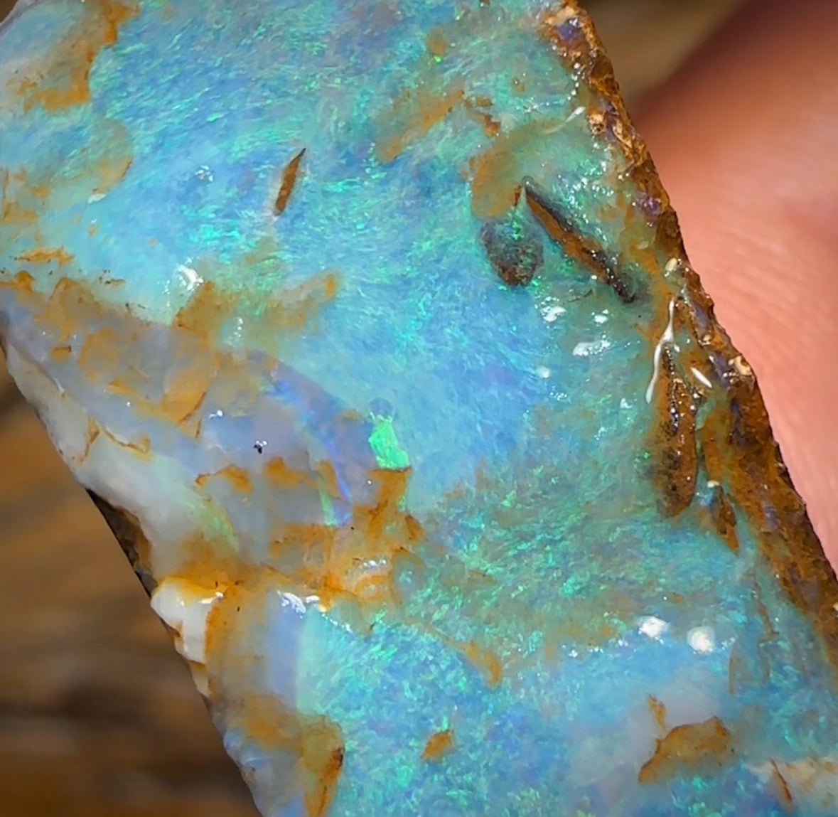 25.1cts - Queensland Boulder Opal Preform Rub