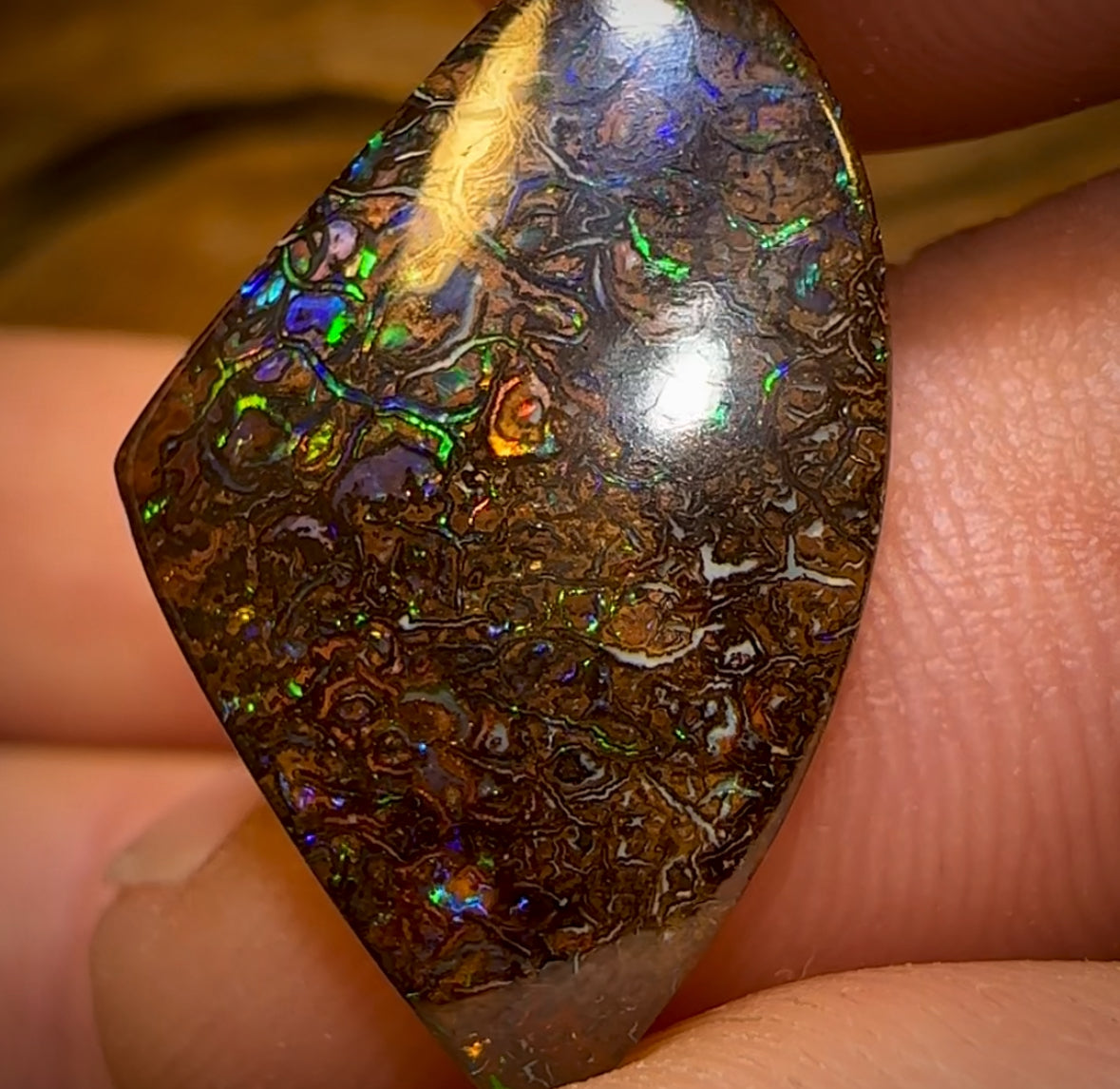 23.6cts - “Electrics” Tribal Queensland Dark Boulder Opal Set