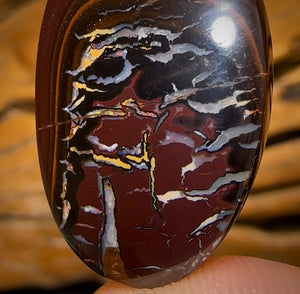 41.6cts - Tribal Australian Boulder Opal from Koroit