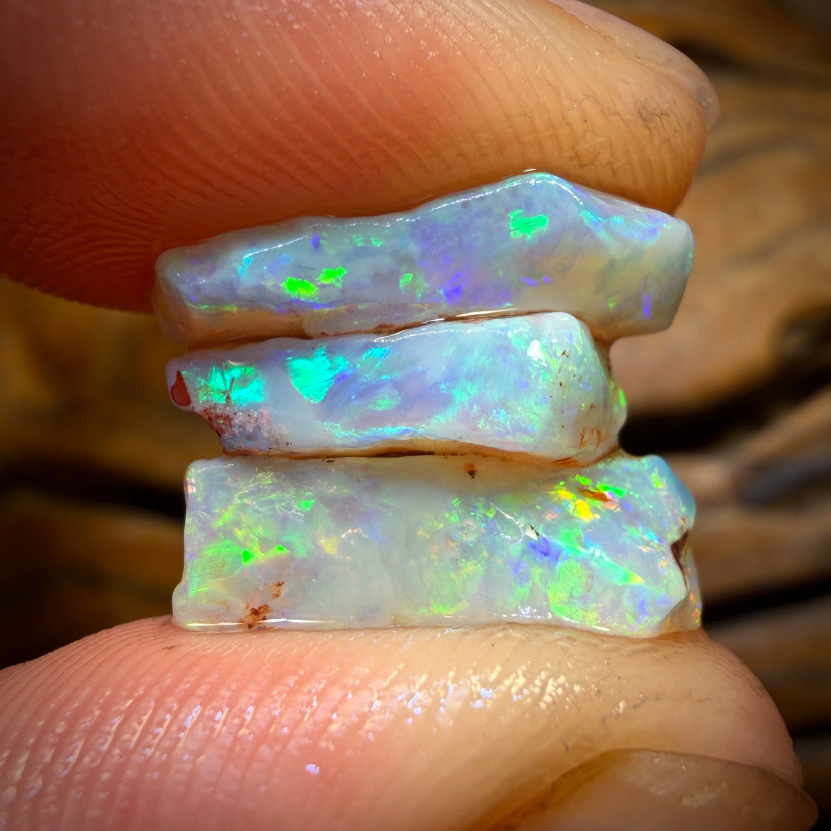 13.1cts - 3x South Australian Opal Rough Parcel