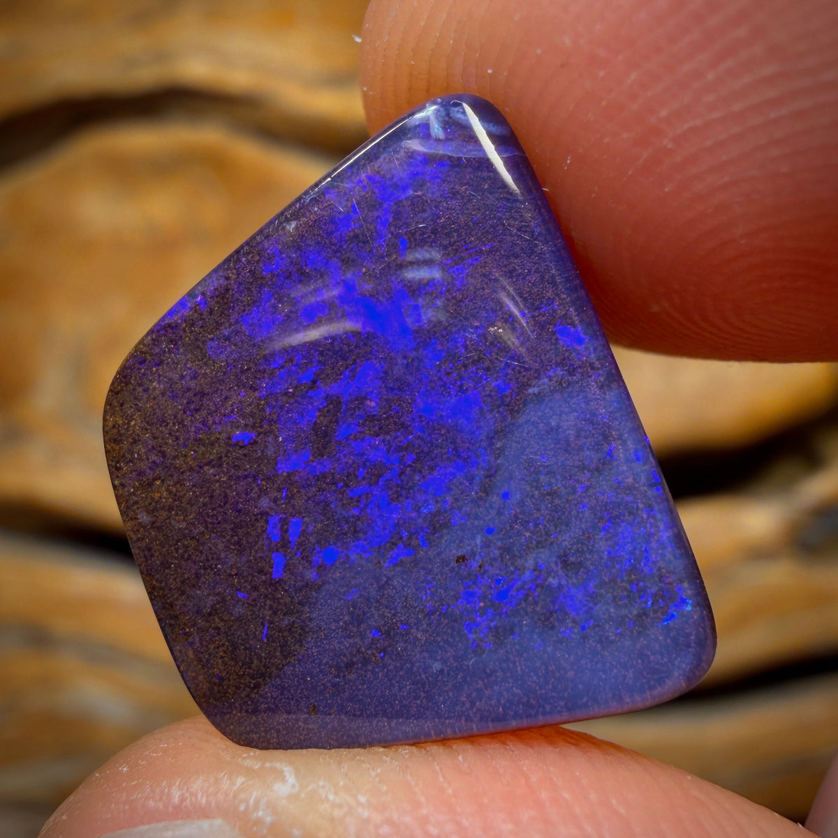 13.1cts - Gem Queensland Boulder Seam Opal