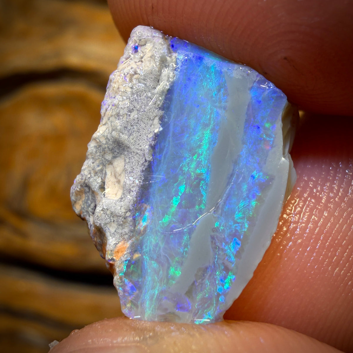 13.1cts - Lightning Ridge Opal Rough Piece. Isaac’s Cutter’s!