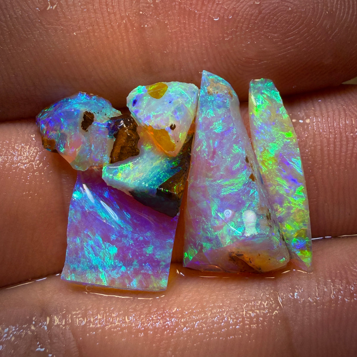 13.2cts - 6x Australian Yowah Wood Crystal Opal Rough Pieces. Highly Prized Material
