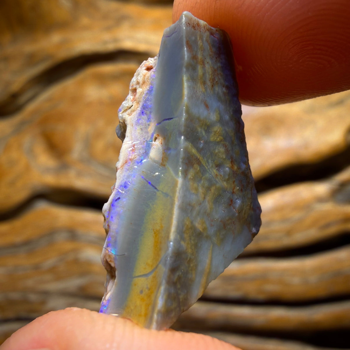 13.4cts - Lightning Ridge Dark Opal Rough Piece