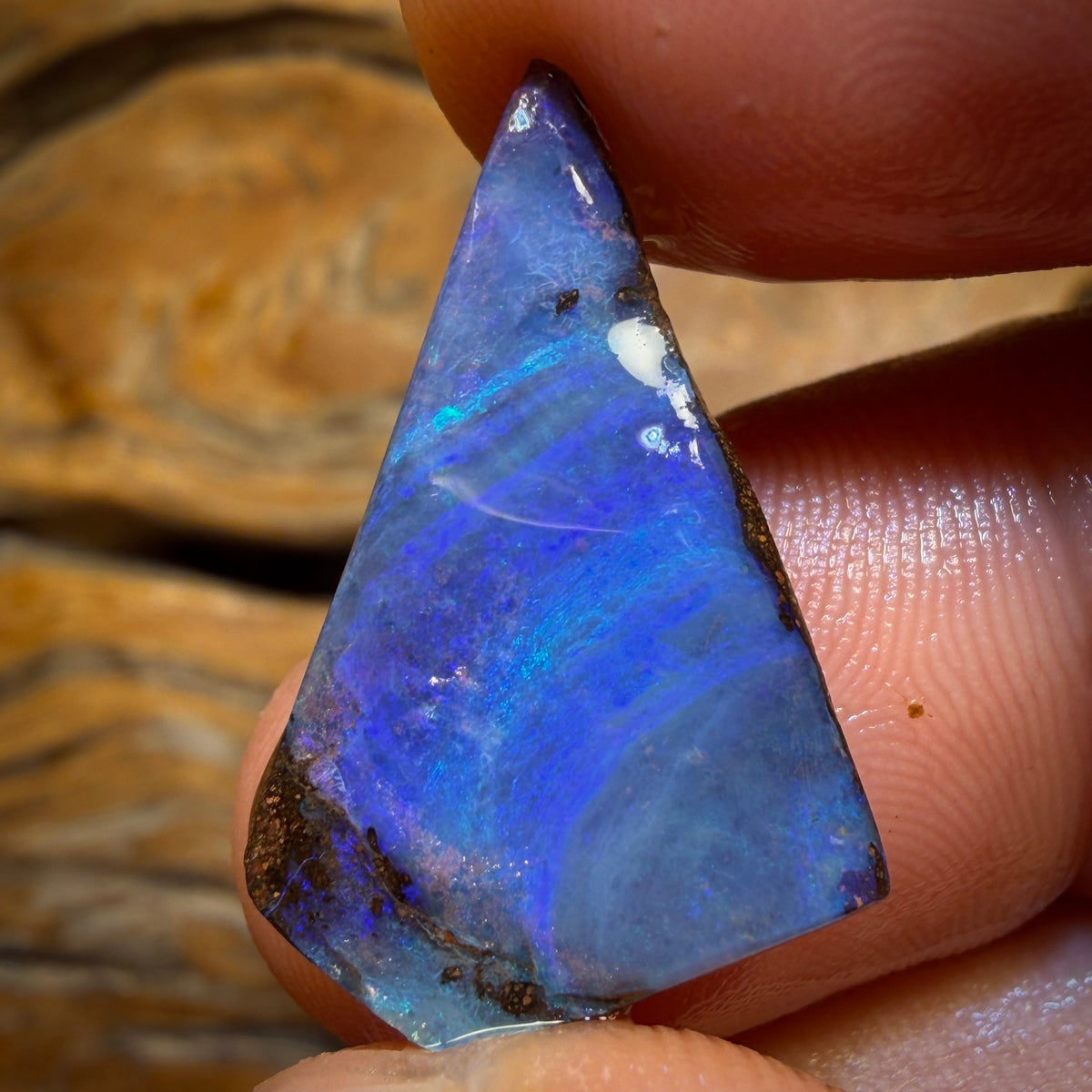 13.7cts - Queensland Boulder Seam Opal Rub