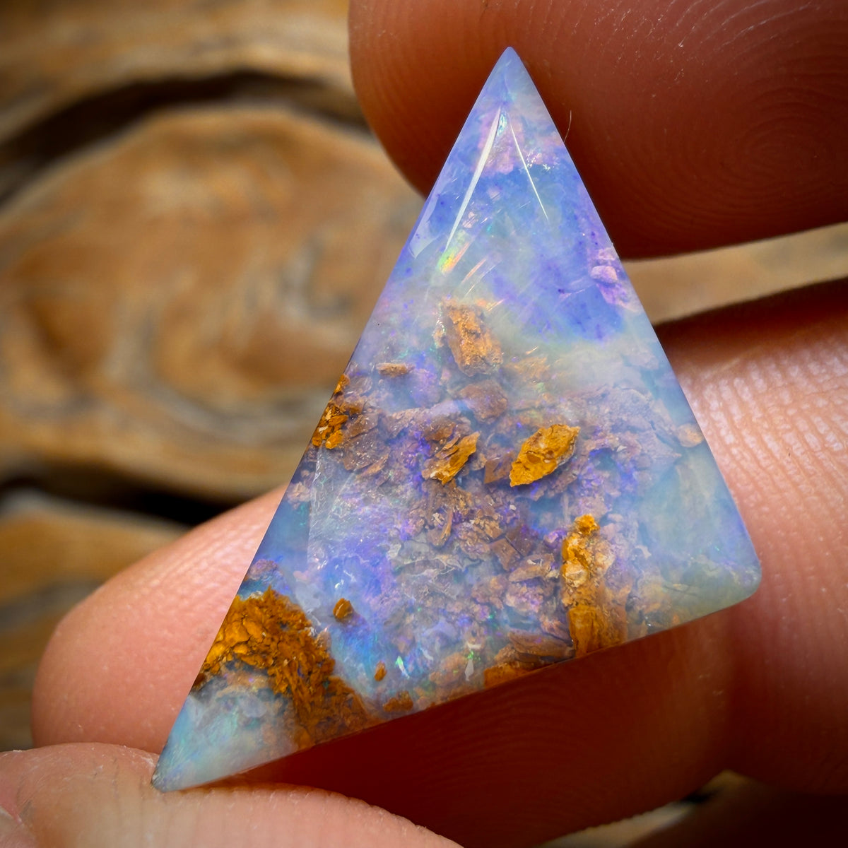 13.7cts - Wood Fossil Replacement Boulder Opal from Yowah
