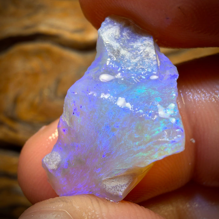 13.8cts - Lightning Ridge Opal Rough Piece. Isaac’s Cutter’s!