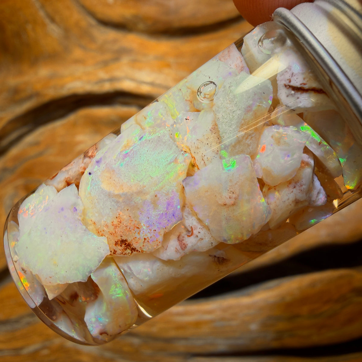 60.5cts - Vial of Shell Fossil Opal from South Australia