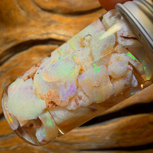 60.5cts - Vial of Shell Fossil Opal from South Australia