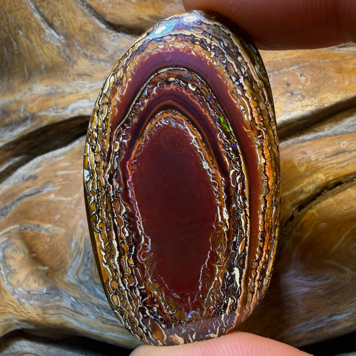 131.1cts - Tribal Queensland Boulder Opal. Australian Opal