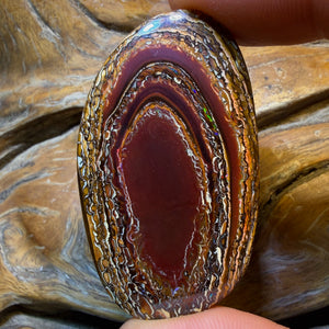 131.1cts - Tribal Queensland Boulder Opal. Australian Opal