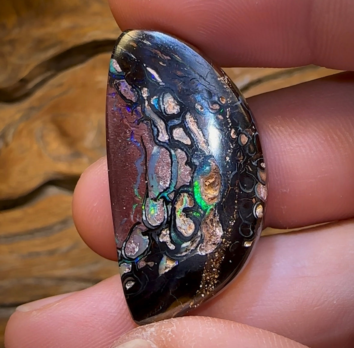 47.8cts - Tribal Koroit Nut Opal. Australian Opal - Opal Whisperers
