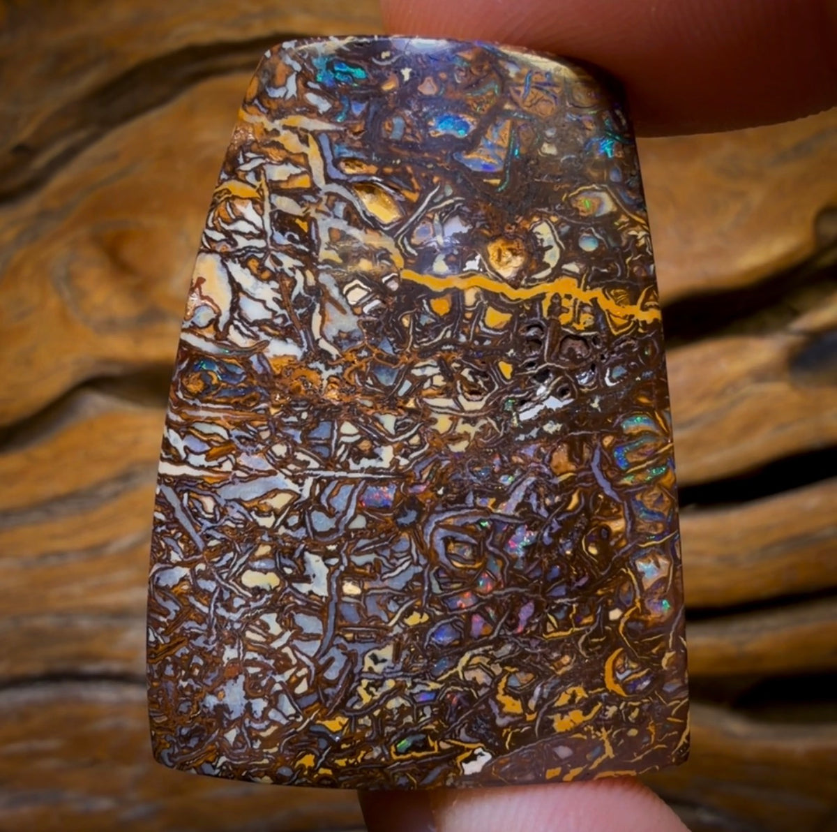 213.3cts - Tribal Australian Boulder Opal. Polished Specimen