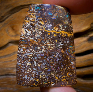 213.3cts - Tribal Australian Boulder Opal. Polished Specimen