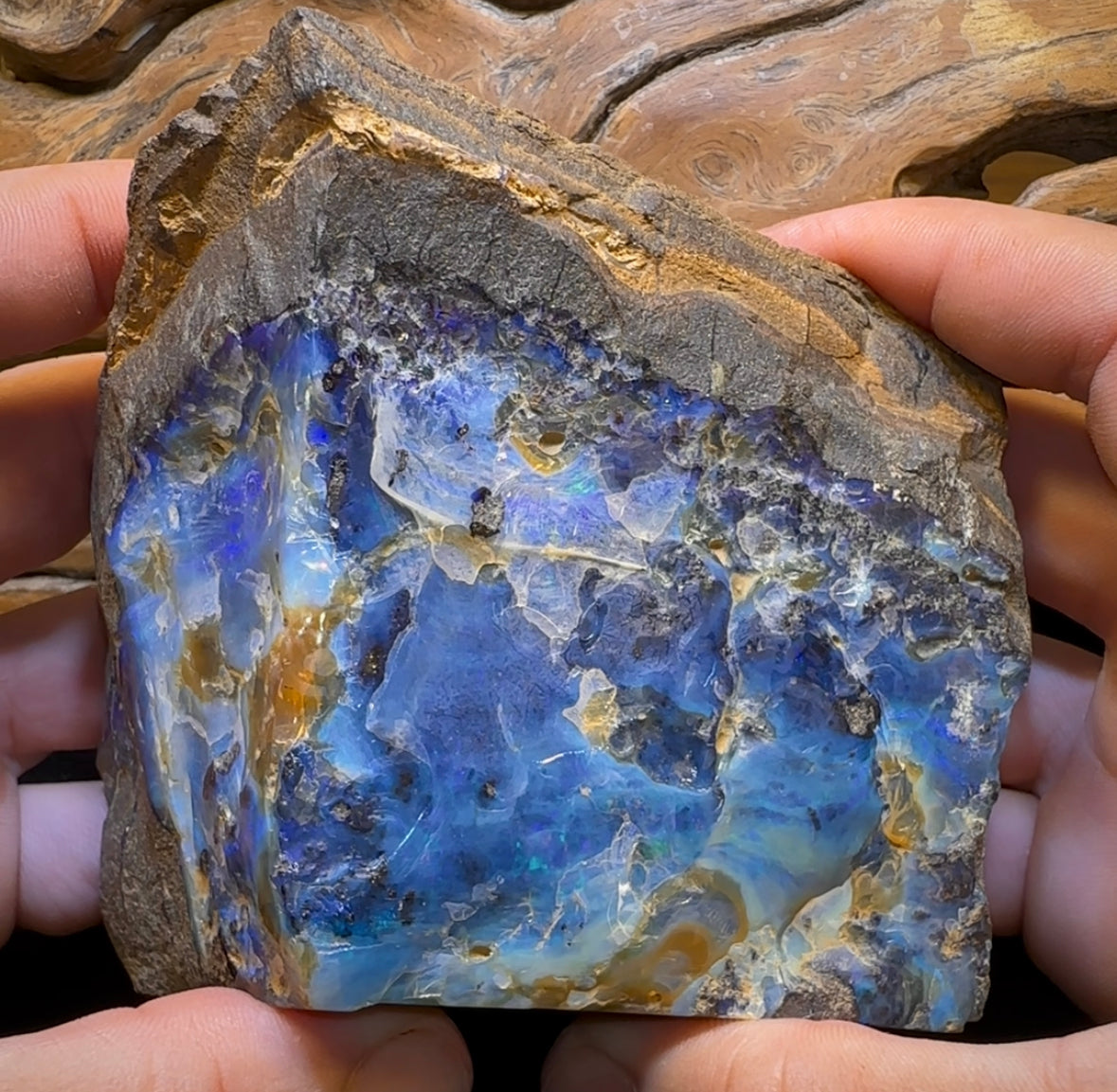 906g - Large Queensland Boulder Opal Rough Specimen from Winton - Opal Whisperers