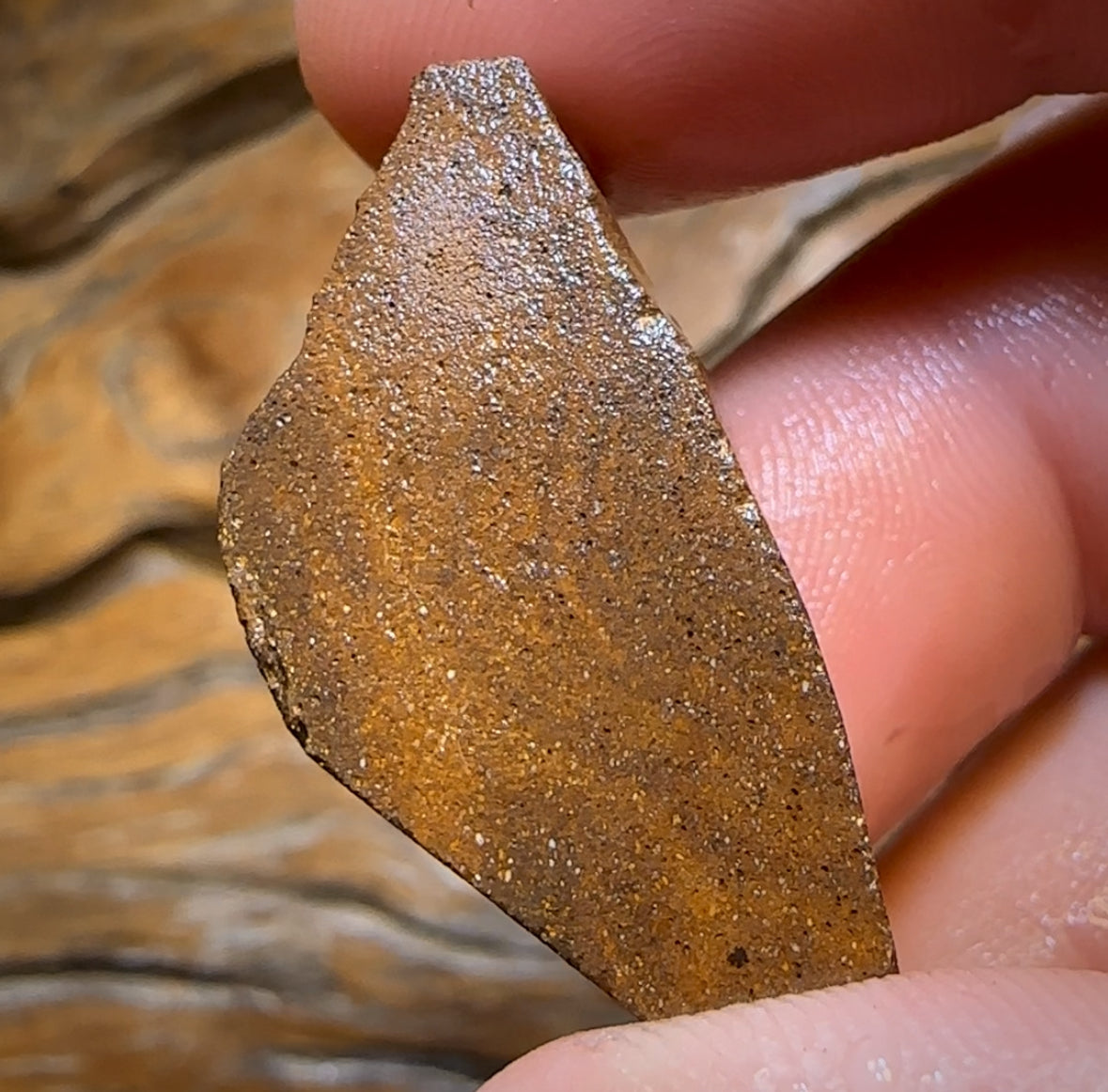 61.5cts - Queensland Boulder Seam Opal Rub