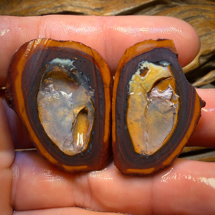 132cts - RARE Yowah Nut Partial Crystal Centre Rough Specimen Pair