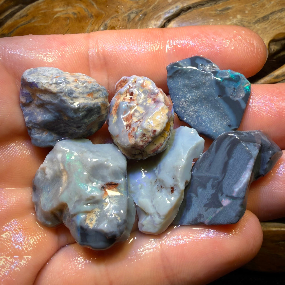 133.2cts - 6x Lightning Ridge Opal Rough Parcel