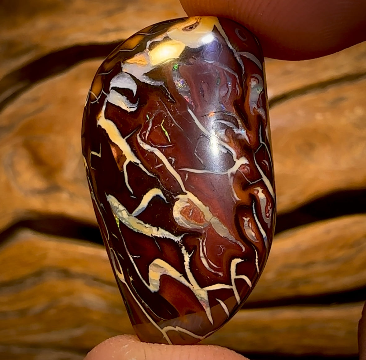 35.5cts - Tribal Queensland Boulder Opal from Koroit