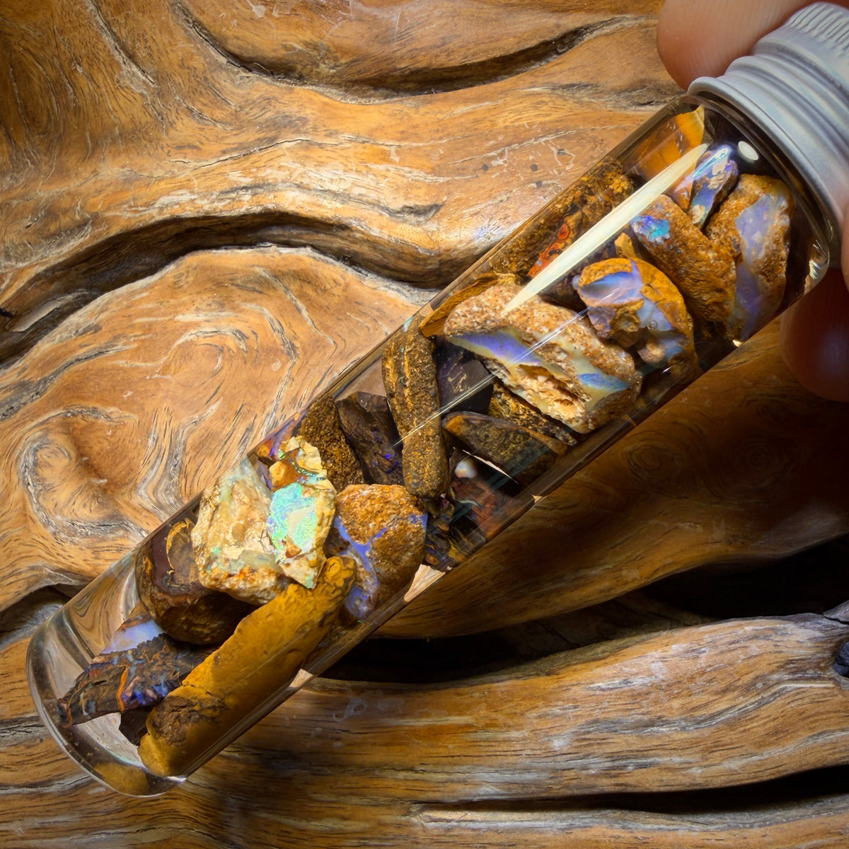 133cts - Jar of Yowah Nut Opal Rough w/ Fossil Opal