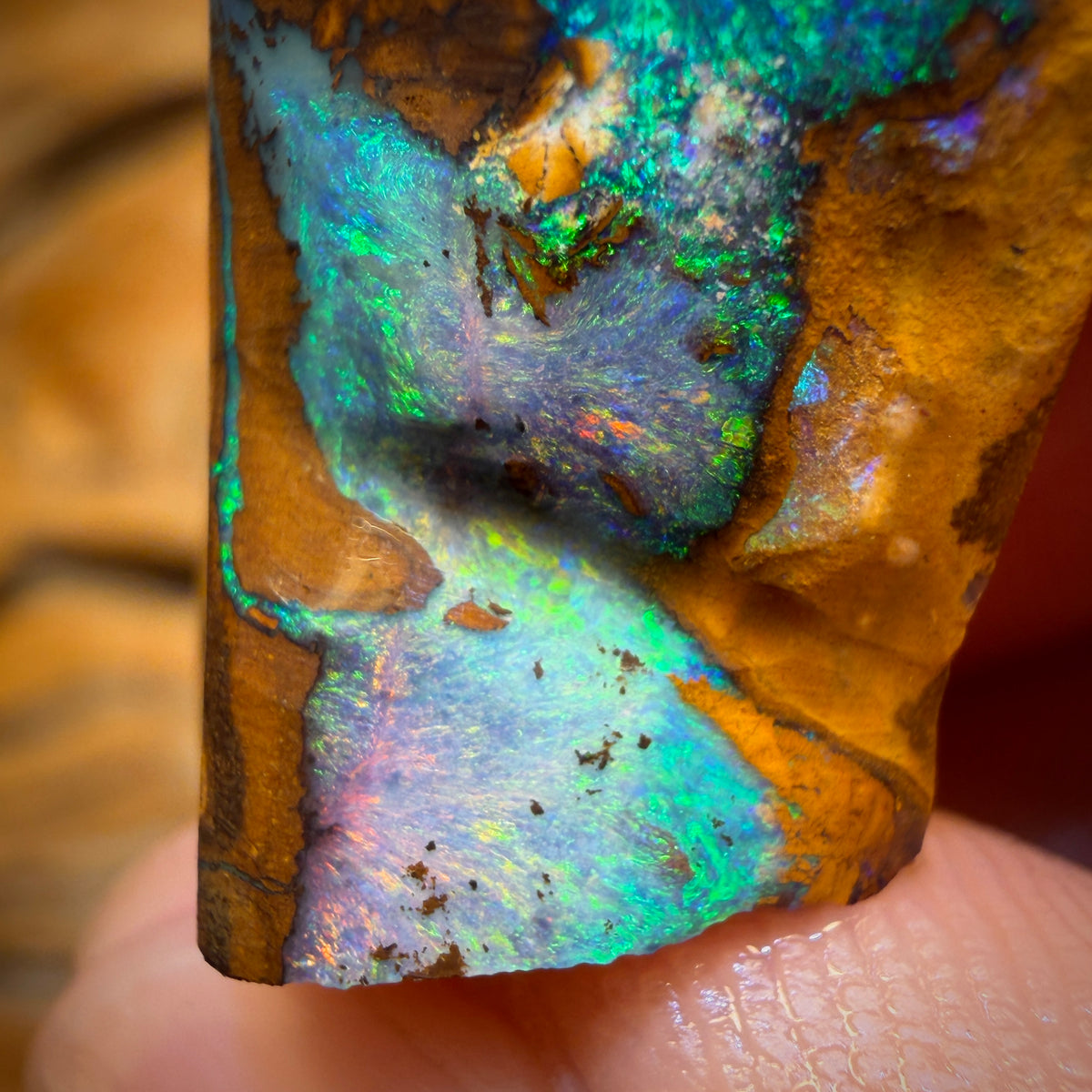 36,6 cts - Opale Boulder de la couche de Queensland (Opal Rub)