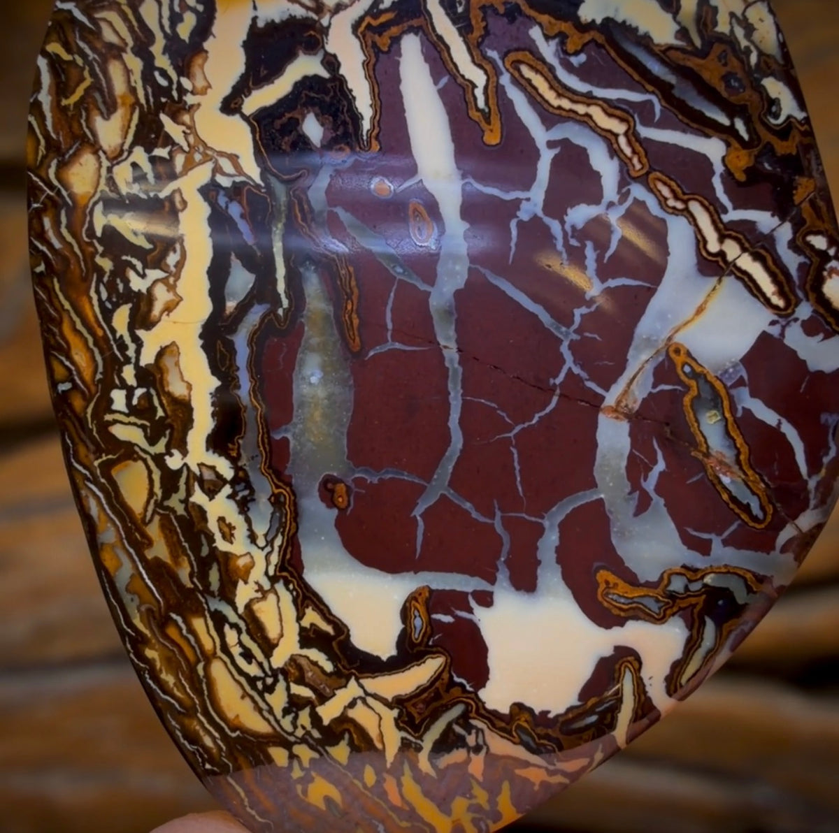 39.3cts - “Birth Of Creation” Tribal Australian Boulder Opal from Koroit
