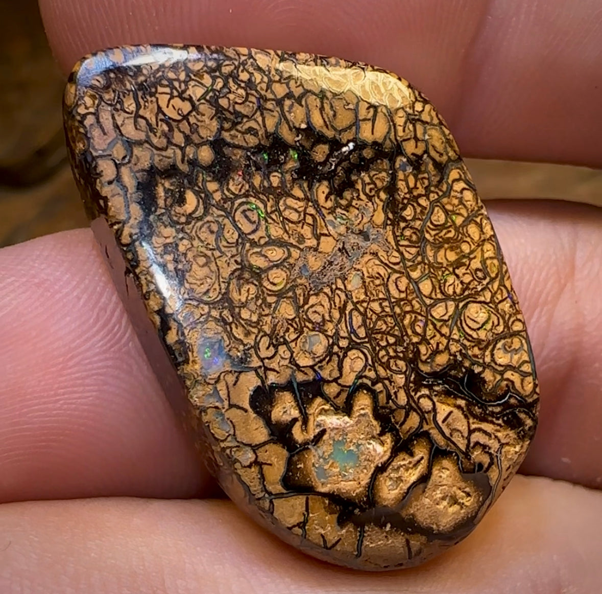 43.6cts - Yowah Nut Tribal Opal. Double Sided - Opal Whisperers