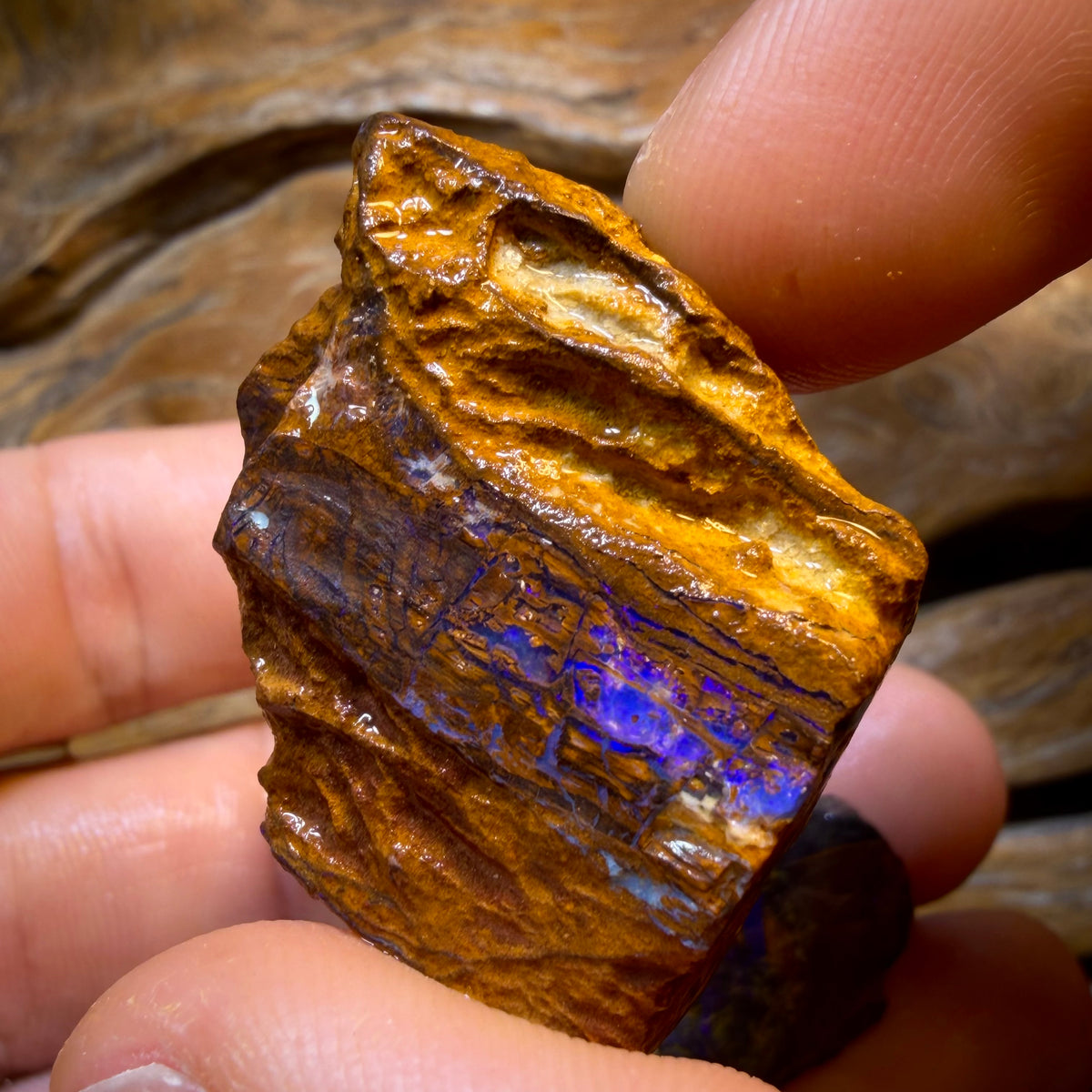 TGIF 160.2cts - 3x Yowah Nut Opal Rough Parcel. Australian Boulder Opal