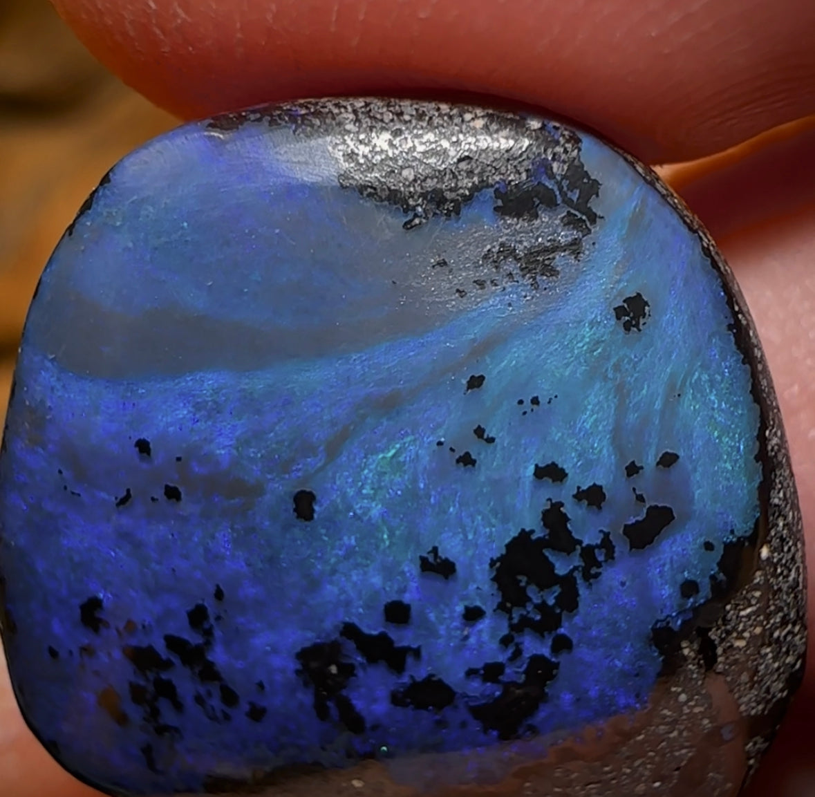 16.7cts - Queensland Boulder Seam Opal Picture Stone
