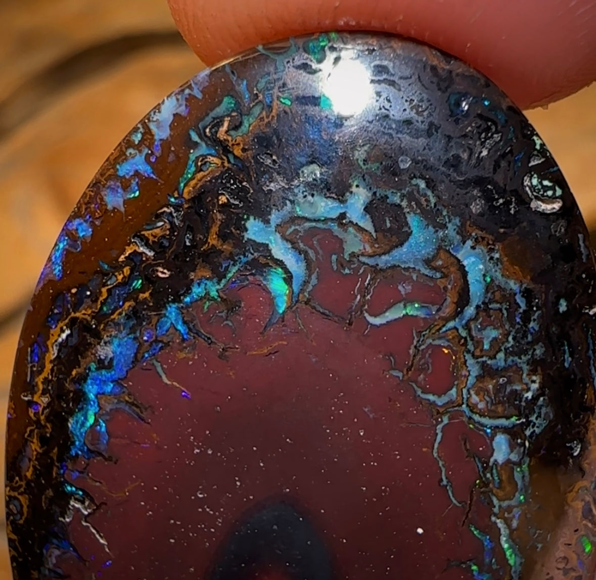45.2cts - Tribal Queensland Boulder Opal from Koroit