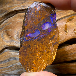 139.8cts - Opalised Fossil Replacement Boulder Opal Rough Piece