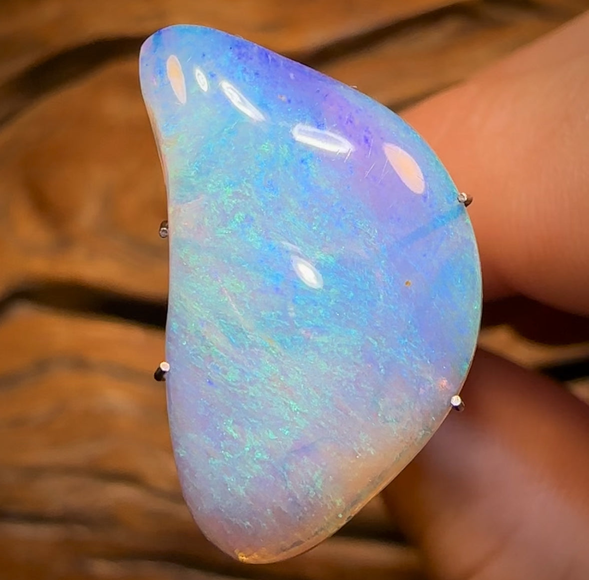 6.4cts - “Ocean Memory” Polished Opalised Shell Fossil from South Australia Double Sided Magic