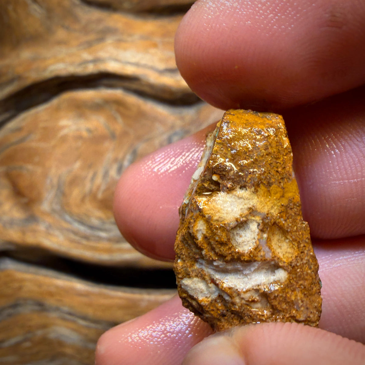 33,1cts - Boulder Pfeifenopal Rohstück. Australischer Opal