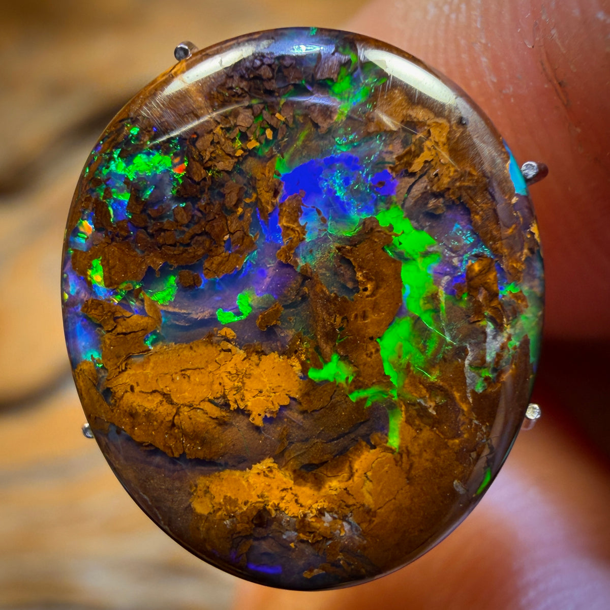 Half Price Card! 8.9cts - Bubble Band Queensland Boulder Opal from Yowah