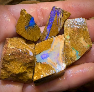227cts - 5x Queensland Boulder Pipe Opal Rough Parcel