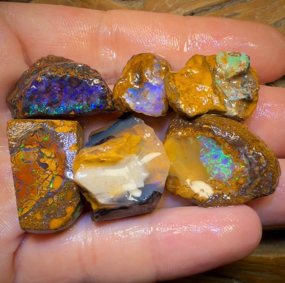 🔒183,2 ct – 6x Rohopal aus Yowah-Nuss. Australischer Boulder-Opal.